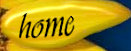 sonnenblumen1001005.jpg